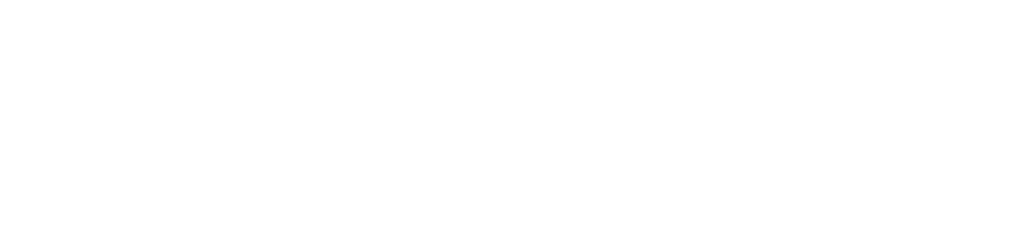 ACERIS Gestão & Soluções Integradas